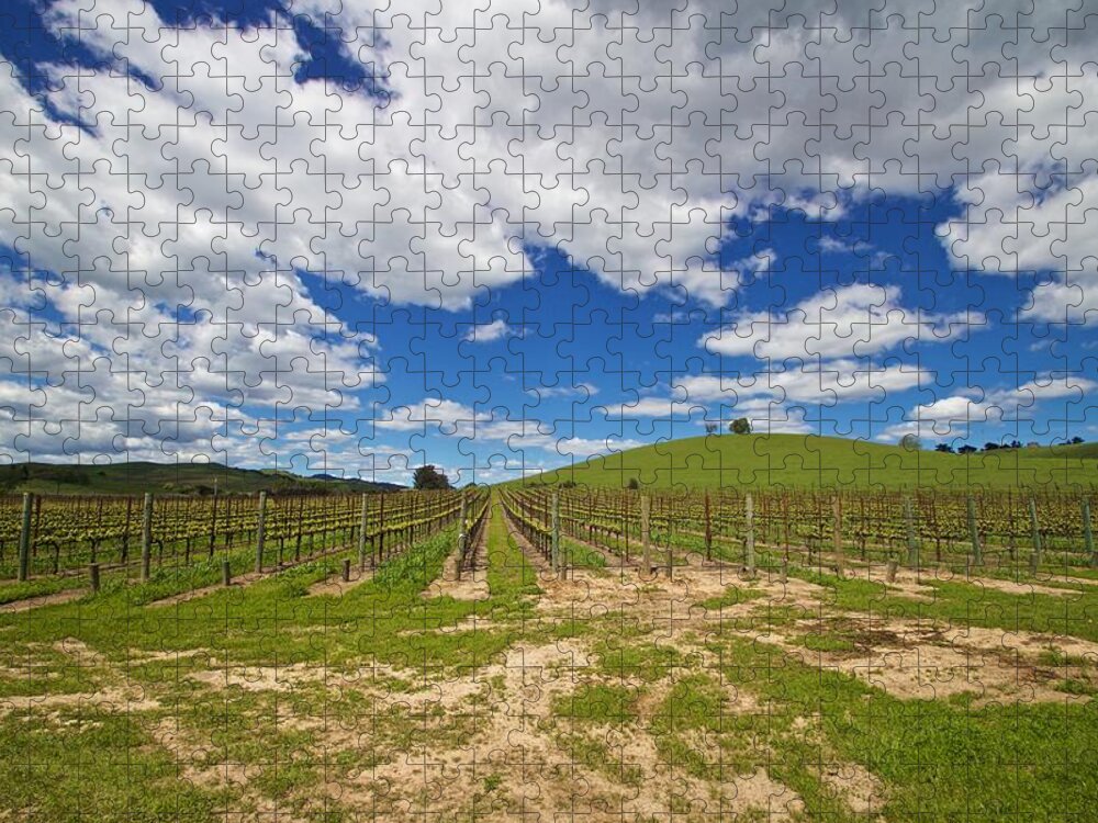 Clouds Jigsaw Puzzle featuring the photograph Vines In The Valley by Dan Twomey
