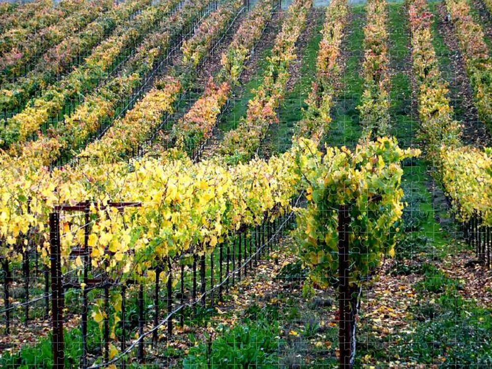 Vineyards Jigsaw Puzzle featuring the photograph Vineyards in Healdsburg by Charlene Mitchell