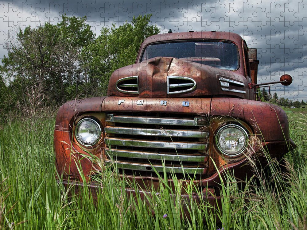 Rusty Trucks Jigsaw Puzzle featuring the photograph Vintage Ford Truck by Theresa Tahara