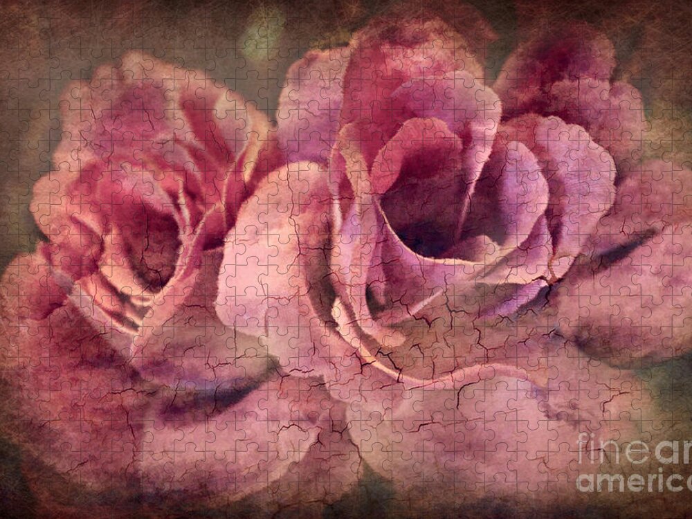 Macro Jigsaw Puzzle featuring the photograph Vintage Roses - Deep Pink by Judy Palkimas