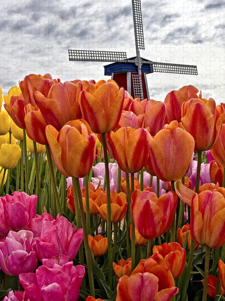 Visions Of Holland Jigsaw Puzzle featuring the photograph Visions Of Holland by Wes and Dotty Weber