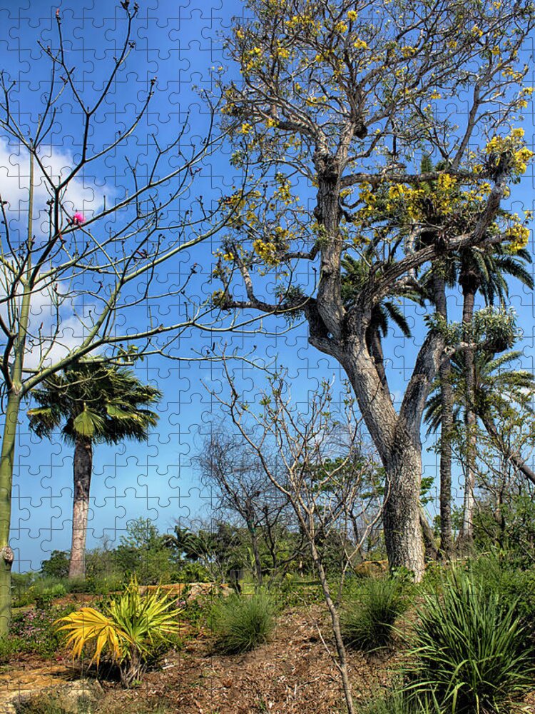 Vista Jigsaw Puzzle featuring the photograph Vista Series 0009 by Carlos Diaz