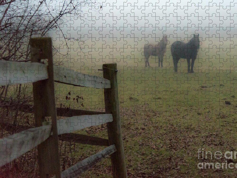 Nature Jigsaw Puzzle featuring the photograph Waiting for the Fog to Lift by Joann Long