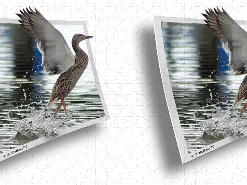 3d Jigsaw Puzzle featuring the photograph Walking On Water - Gently cross your eyes and focus on the middle image by Brian Wallace