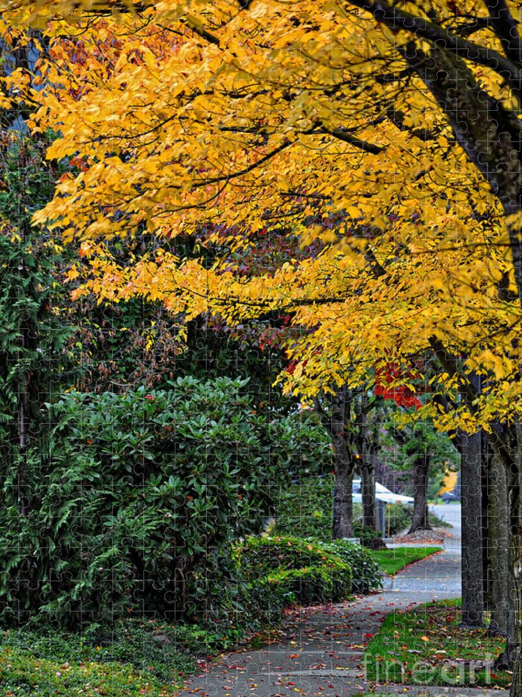 Autumn-colors Jigsaw Puzzle featuring the photograph Walkway Under A Canopy Of Yellow by Kirt Tisdale