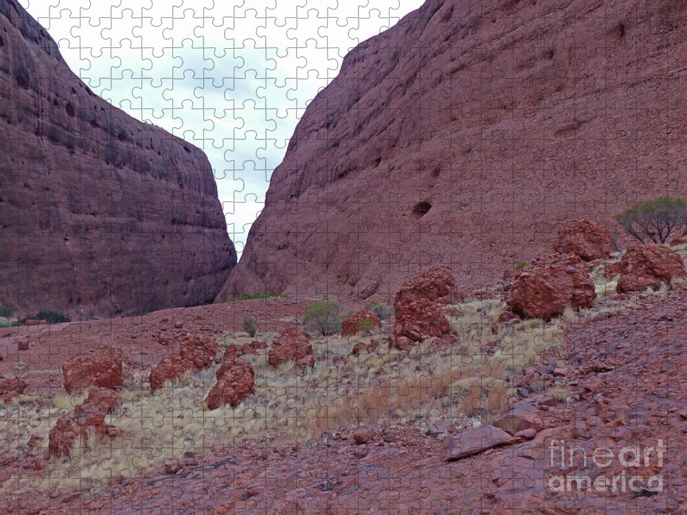Kata Tjuta Jigsaw Puzzle featuring the photograph Walpa Gorge - Kata Tjuta by Phil Banks