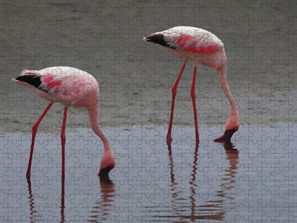 Namibia Jigsaw Puzzle featuring the digital art Walvis Bay Flamingos by Ernest Echols