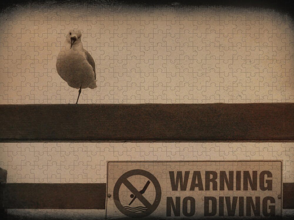 Africa Jigsaw Puzzle featuring the photograph Warning No Diving 2 by Ernest Echols