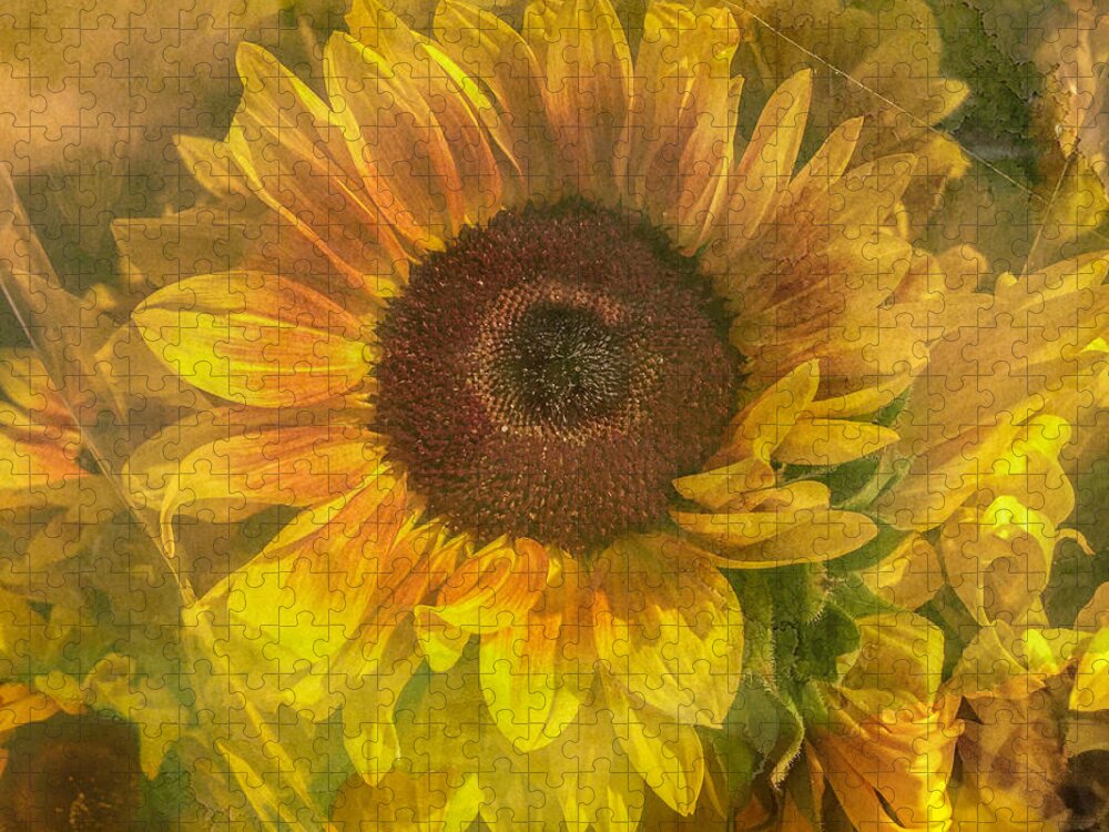 Sunflower Jigsaw Puzzle featuring the photograph Washed In Sun by Arlene Carmel
