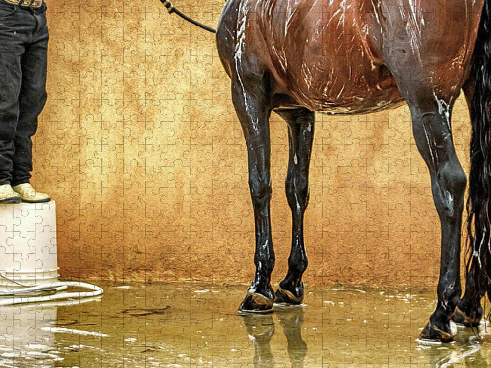 Animals Jigsaw Puzzle featuring the photograph Washing a Horse by Robert FERD Frank