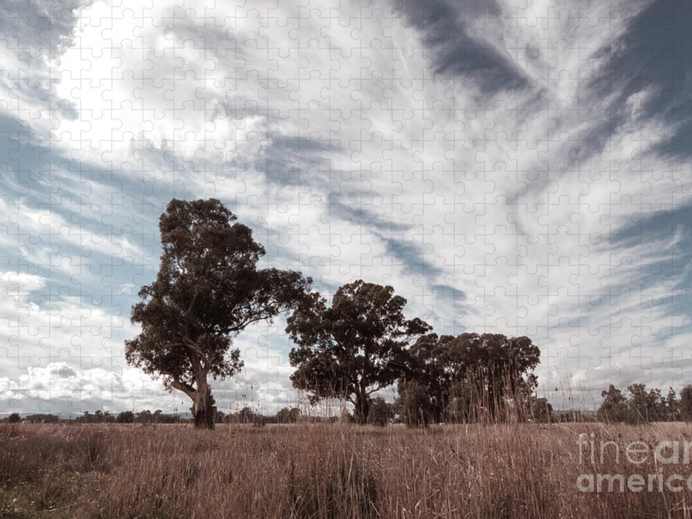 Clouds Jigsaw Puzzle featuring the photograph Watching clouds float across the sky by Linda Lees
