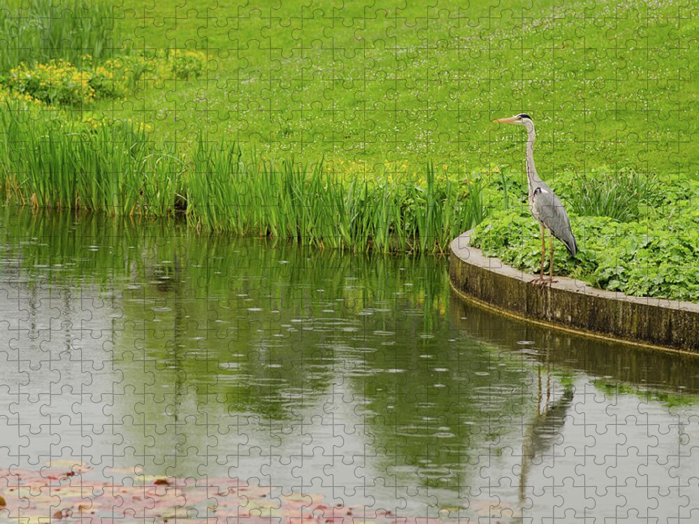 Dropplets Jigsaw Puzzle featuring the photograph Watching Me by Miguel Winterpacht