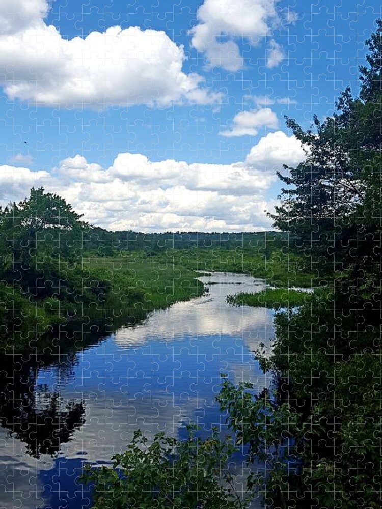 Reflections Jigsaw Puzzle featuring the photograph Water and Woods in Warren by Dani McEvoy