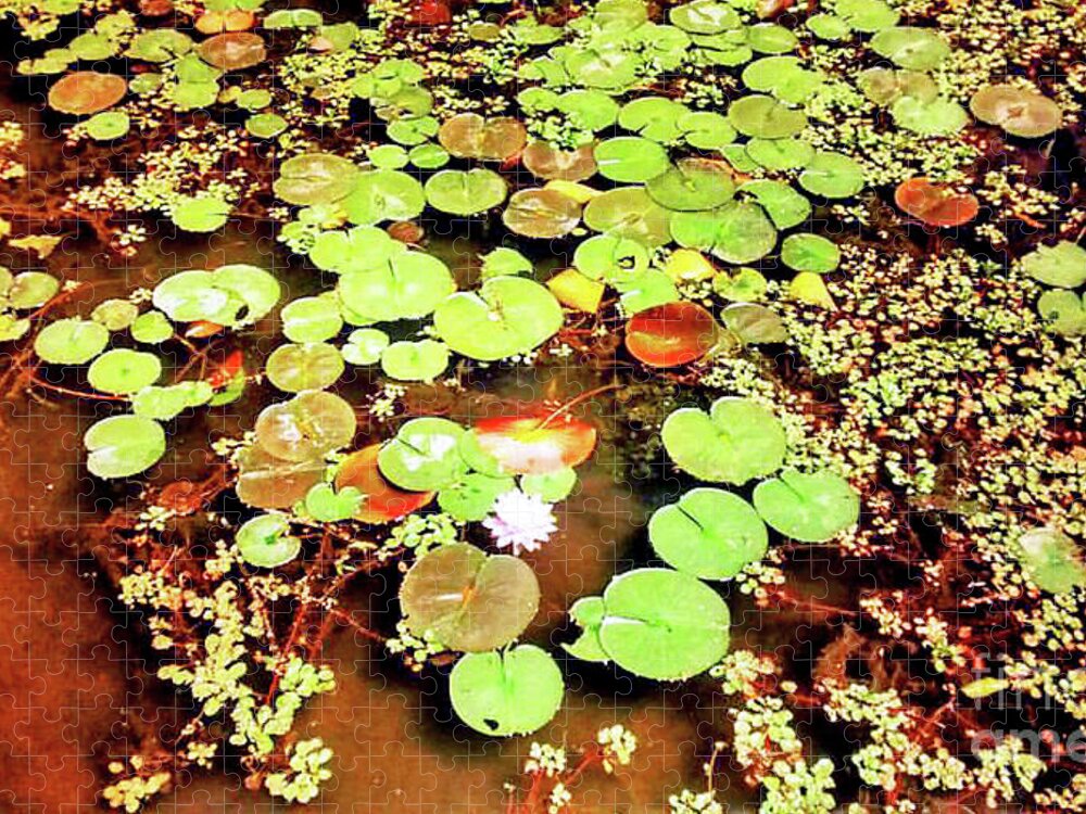 Water Lilies Jigsaw Puzzle featuring the painting Water Lilies by Genevieve Esson
