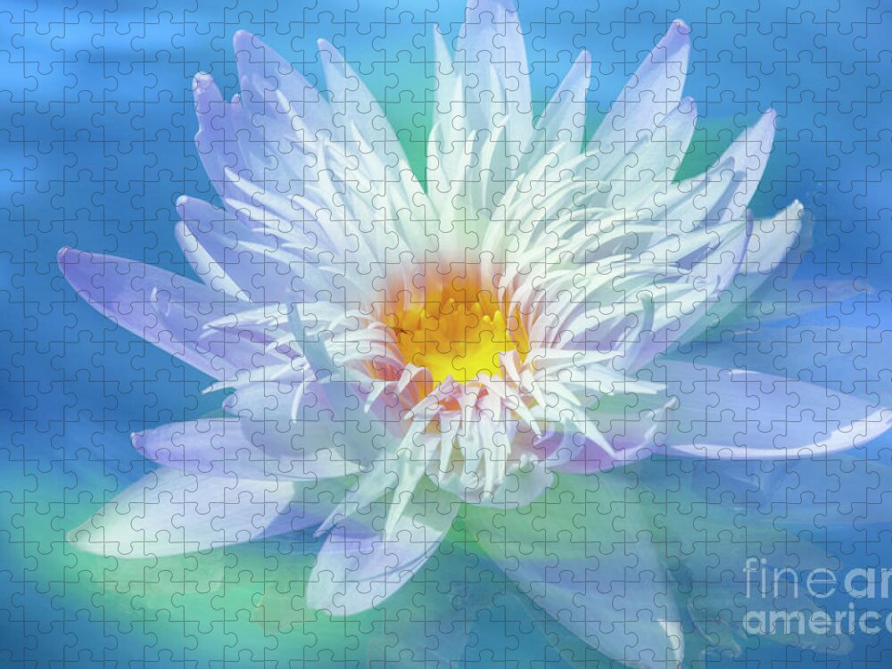 Water Jigsaw Puzzle featuring the photograph Water Lily in Turquoise Pond by Heiko Koehrer-Wagner