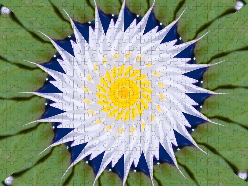 Water Jigsaw Puzzle featuring the photograph Water Lily Kaleidoscope by Bill Barber