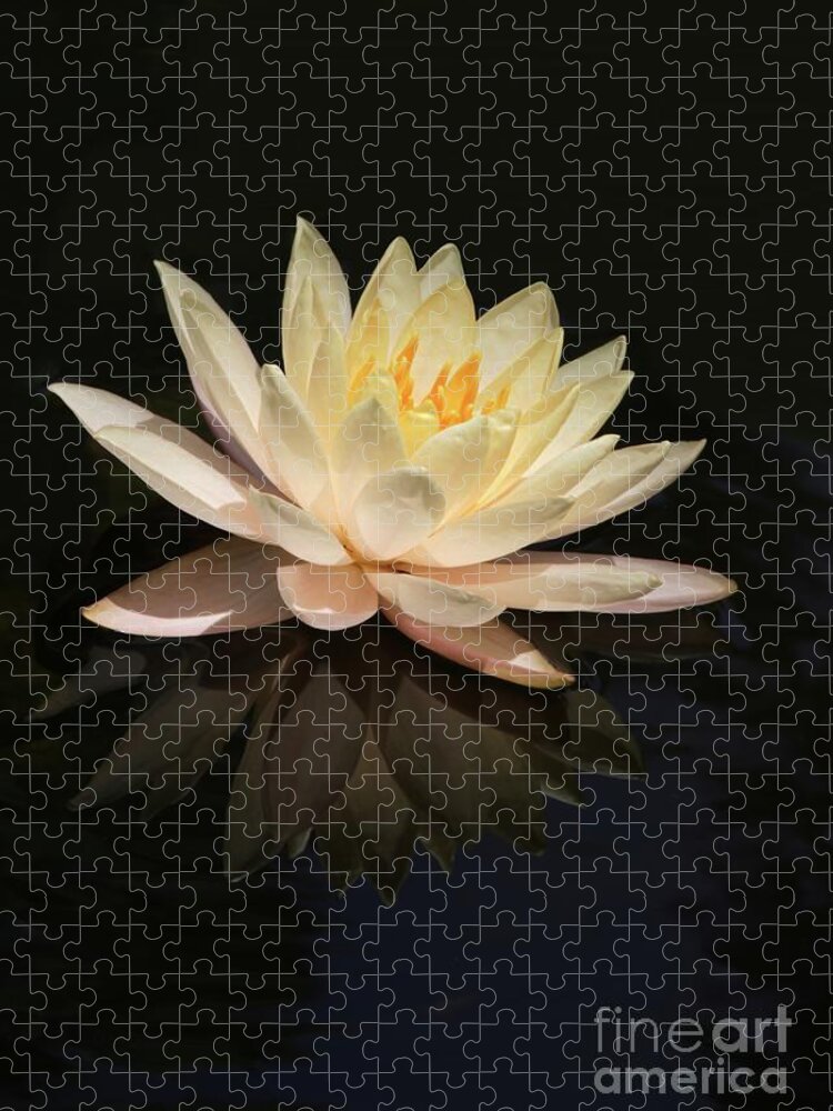 Water Lily Jigsaw Puzzle featuring the photograph Water Lily Reflected by Sabrina L Ryan
