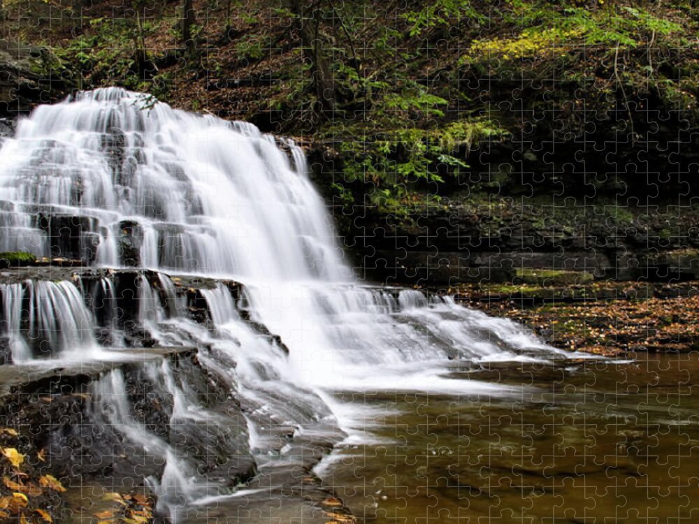 Waterfalls Jigsaw Puzzle featuring the photograph Waterfall Cascade Salt Springs State Park by Christina Rollo