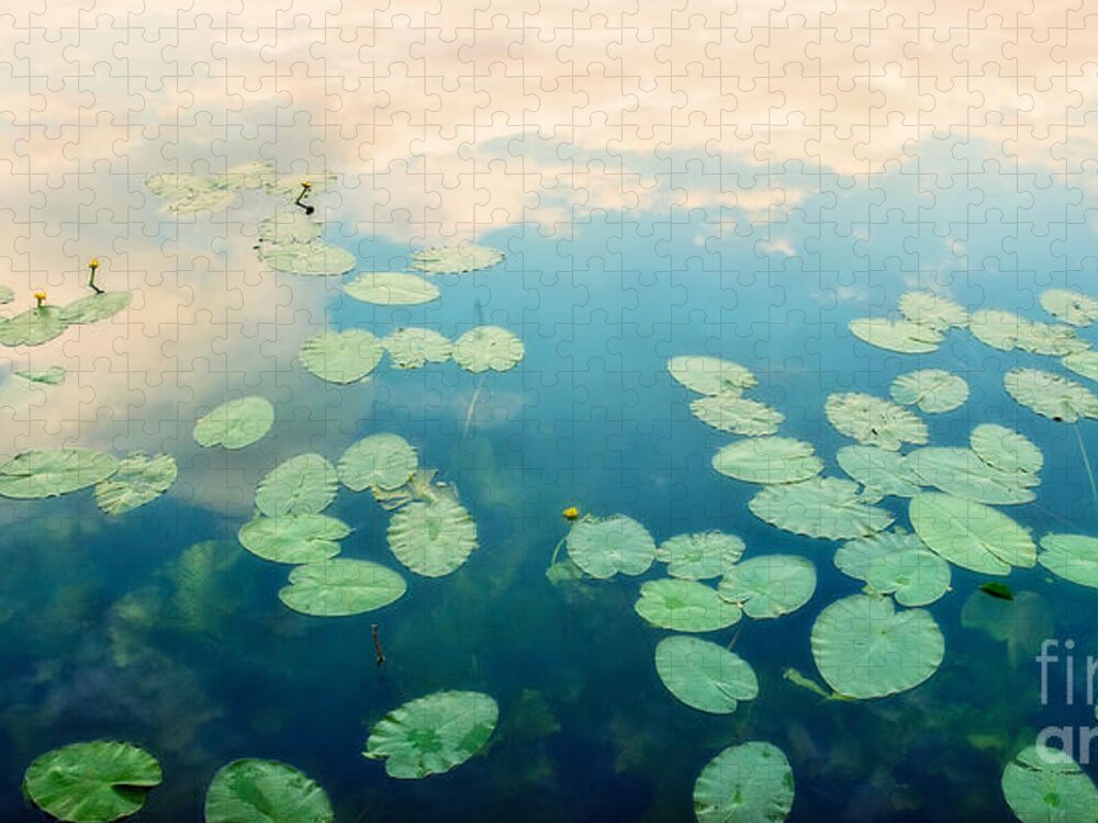 Pond Jigsaw Puzzle featuring the photograph Waterlilies Home by Priska Wettstein