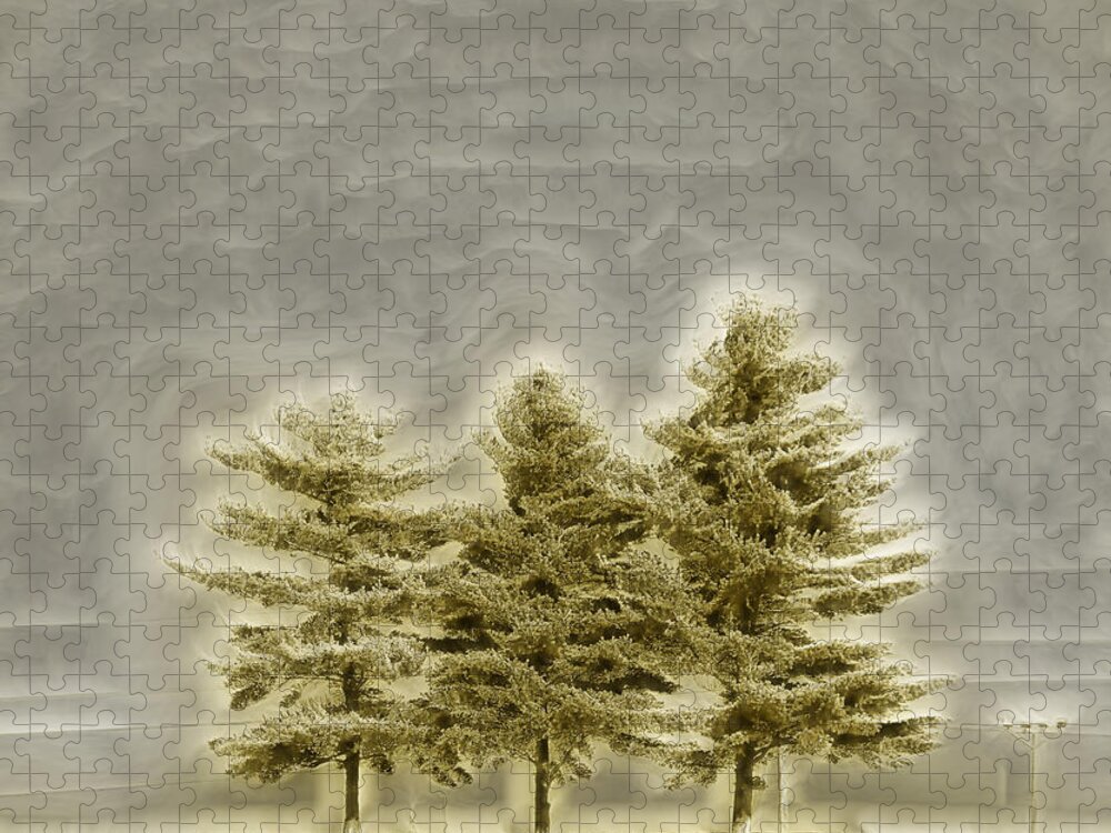 Trees Jigsaw Puzzle featuring the photograph We Three Trees by Bill and Linda Tiepelman