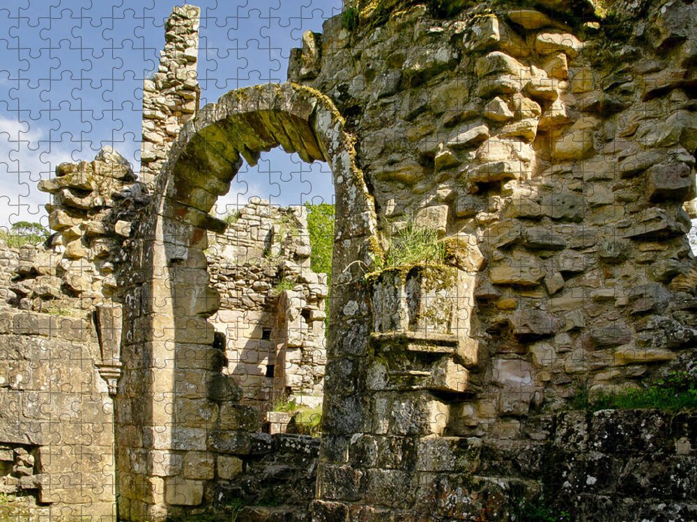Stone Jigsaw Puzzle featuring the photograph Weathered. by Elena Perelman