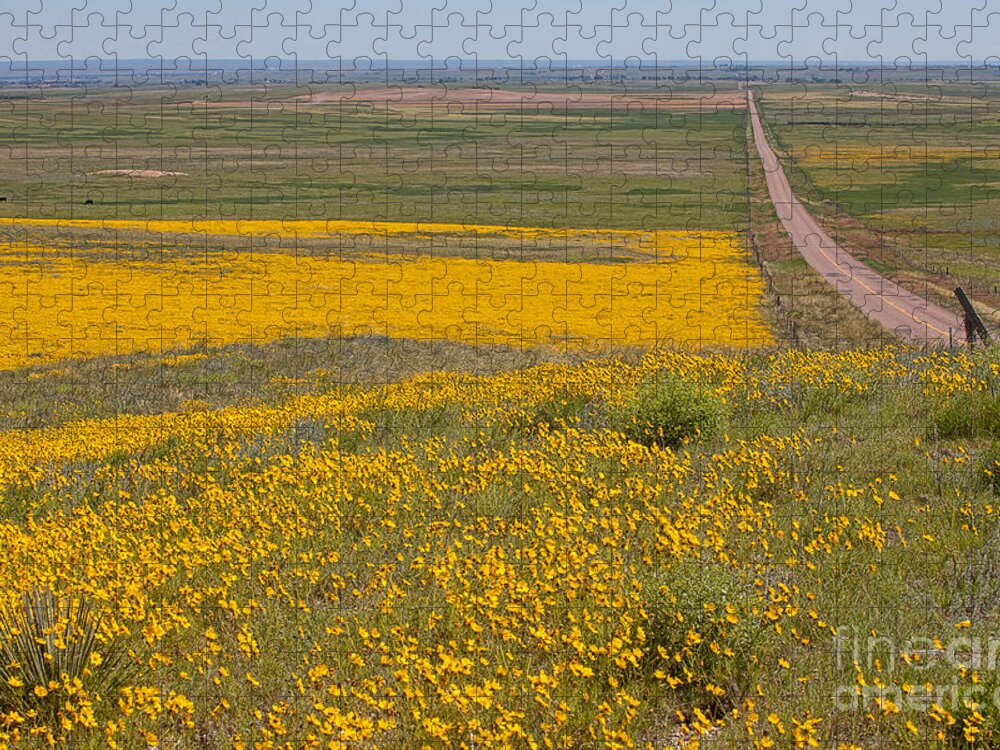 Yellow Wildflowers Jigsaw Puzzle featuring the photograph What Lies Ahead by Jim Garrison