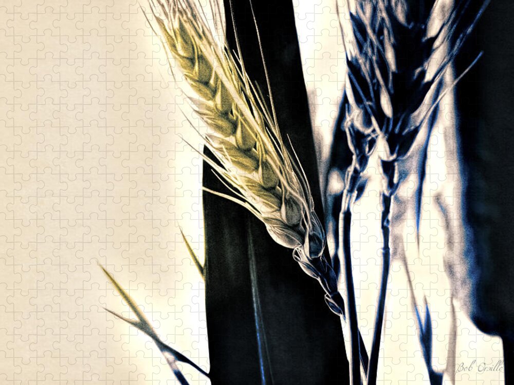 Wheat Jigsaw Puzzle featuring the photograph Wheat Still-life by Bob Orsillo