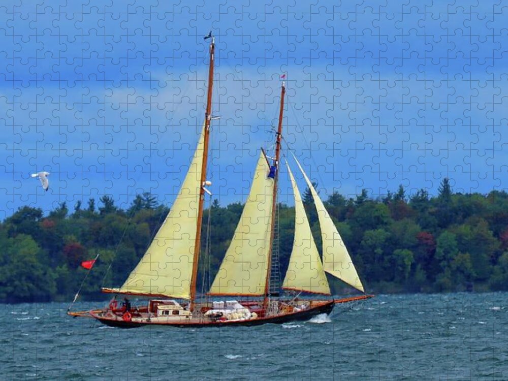 Schooner Jigsaw Puzzle featuring the photograph When And If by Dennis McCarthy