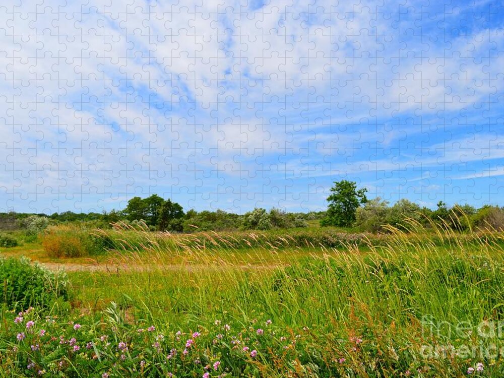 Landscape Jigsaw Puzzle featuring the photograph Where Birds Fly by Dani McEvoy