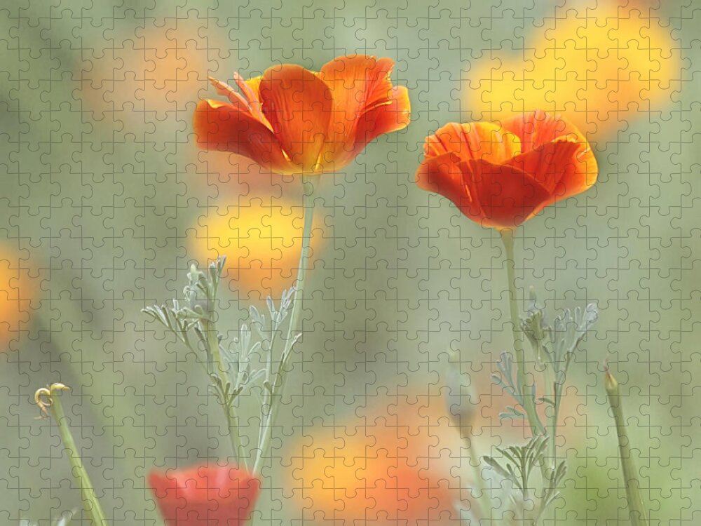 Orange Flower Jigsaw Puzzle featuring the photograph Whimsical Summer by Kim Hojnacki