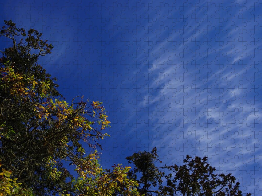 Adria Trail Jigsaw Puzzle featuring the photograph Whispy Clouds by Adria Trail