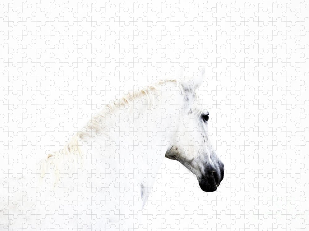 Lipica Stud Jigsaw Puzzle featuring the photograph White Beauty of Lipica by Carien Schippers