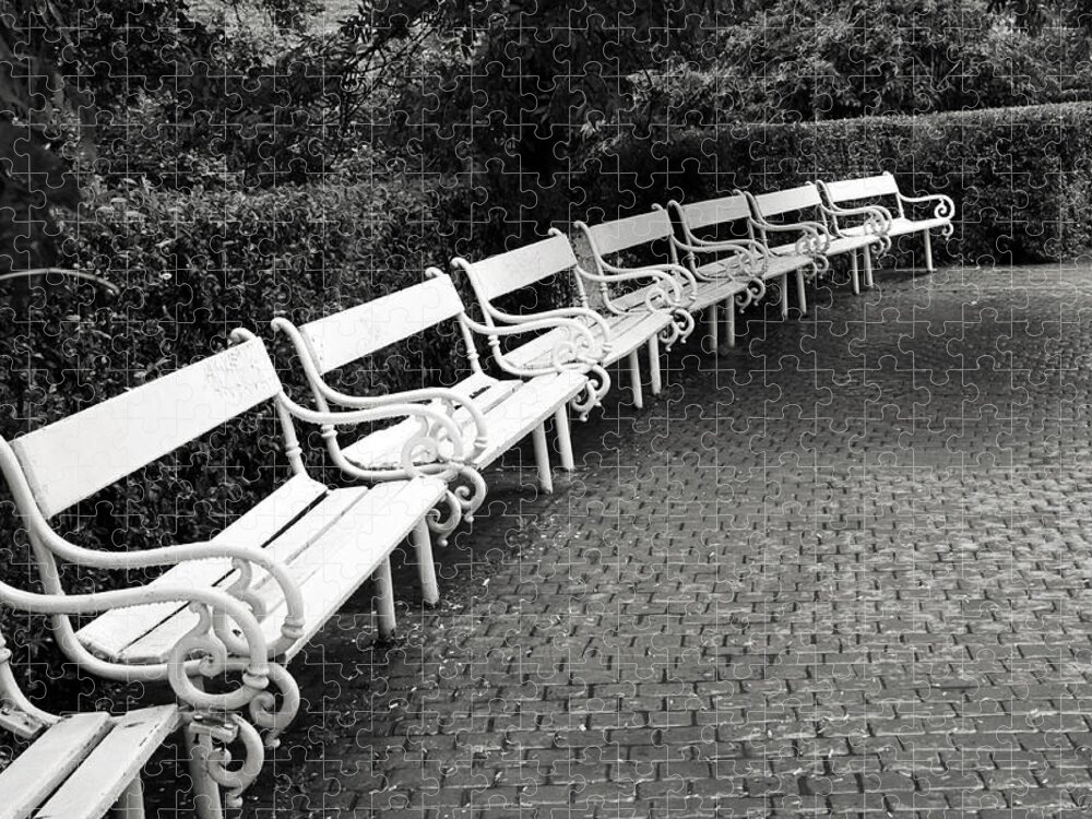 Black And White Jigsaw Puzzle featuring the photograph White Benches- by Linda Wood Woods by Linda Woods