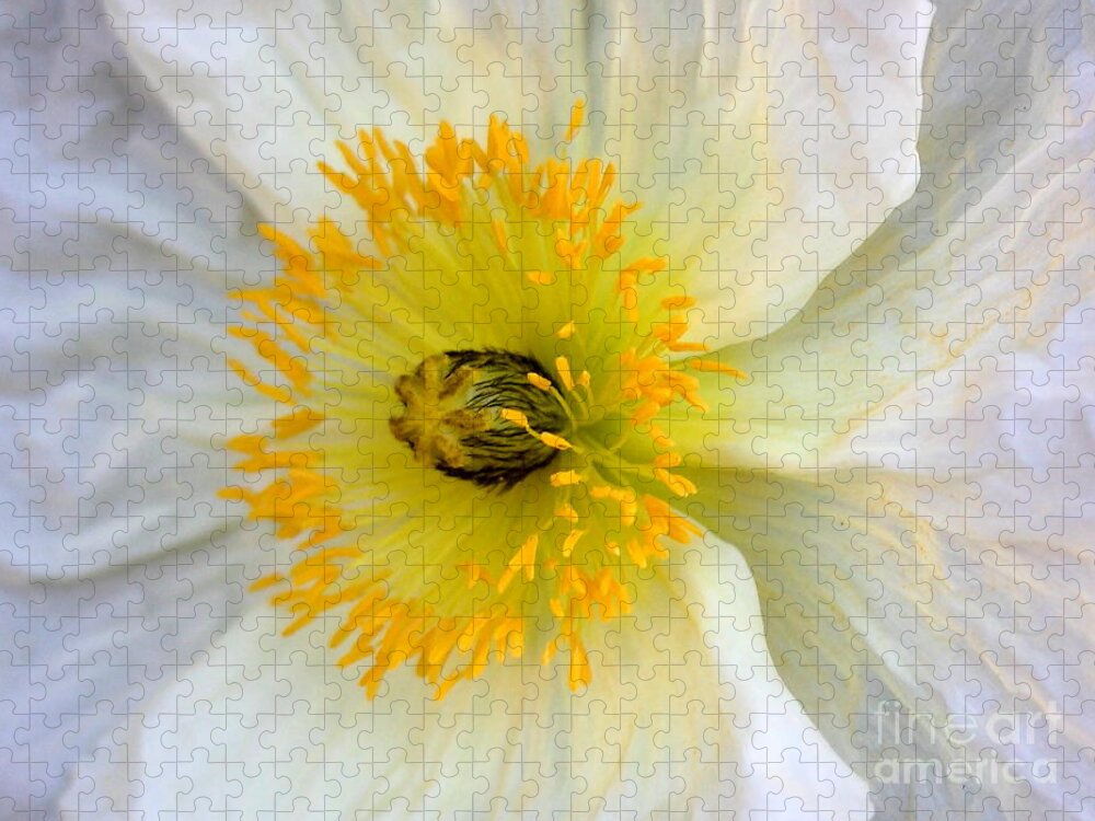 Rockrose Jigsaw Puzzle featuring the photograph White Flower by Wingsdomain Art and Photography