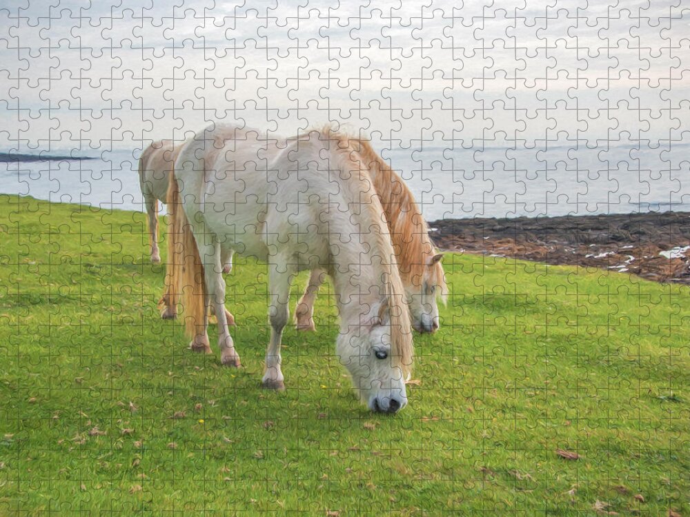 Horse Jigsaw Puzzle featuring the digital art White Horses 2 by Roy Pedersen