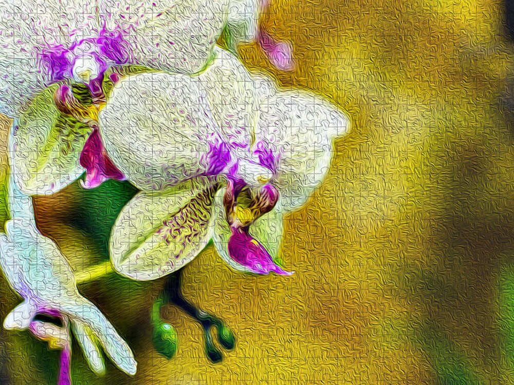 Flower Jigsaw Puzzle featuring the photograph White Orchids Oil Painting Fusion by John Williams