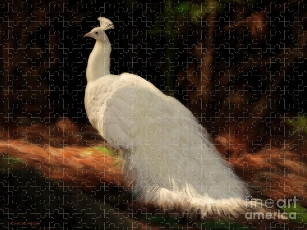 Peacock Jigsaw Puzzle featuring the painting White Peacock in Golden Hour by Constance Woods