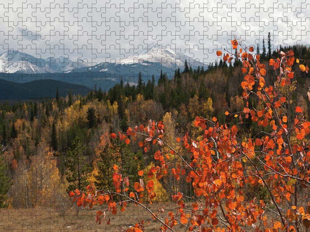 White River National Forest Jigsaw Puzzle featuring the photograph White River National Forest Autumn Panorama by Cascade Colors