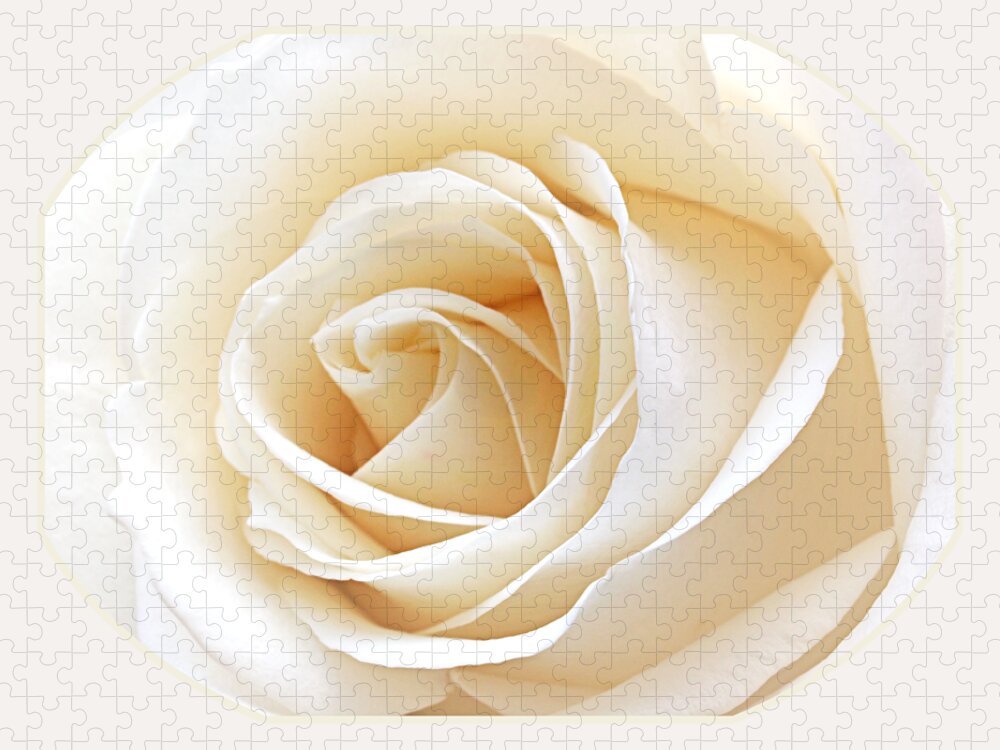 Rose Jigsaw Puzzle featuring the photograph White Rose Heart by Gill Billington