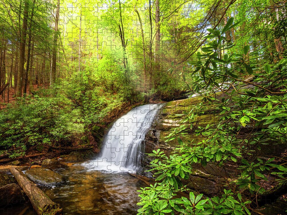 Appalachia Jigsaw Puzzle featuring the photograph Whitewater Rushing Through the Forest by Debra and Dave Vanderlaan