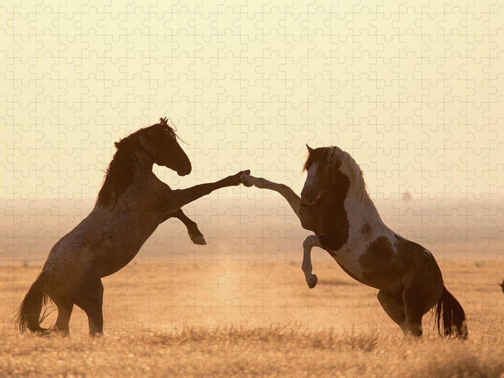 High 5 Jigsaw Puzzle featuring the photograph Wild Horse High 5 by Wesley Aston