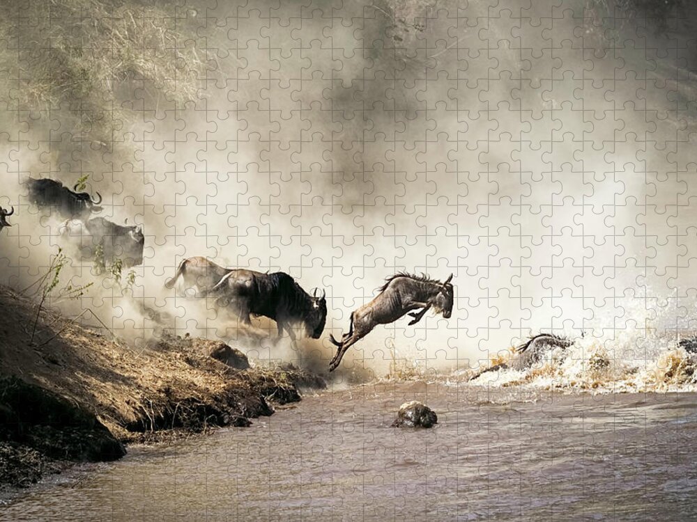 Wildebeest Jigsaw Puzzle featuring the photograph Wildebeest Great Migration River Crossing in Kenya Africa by Good Focused