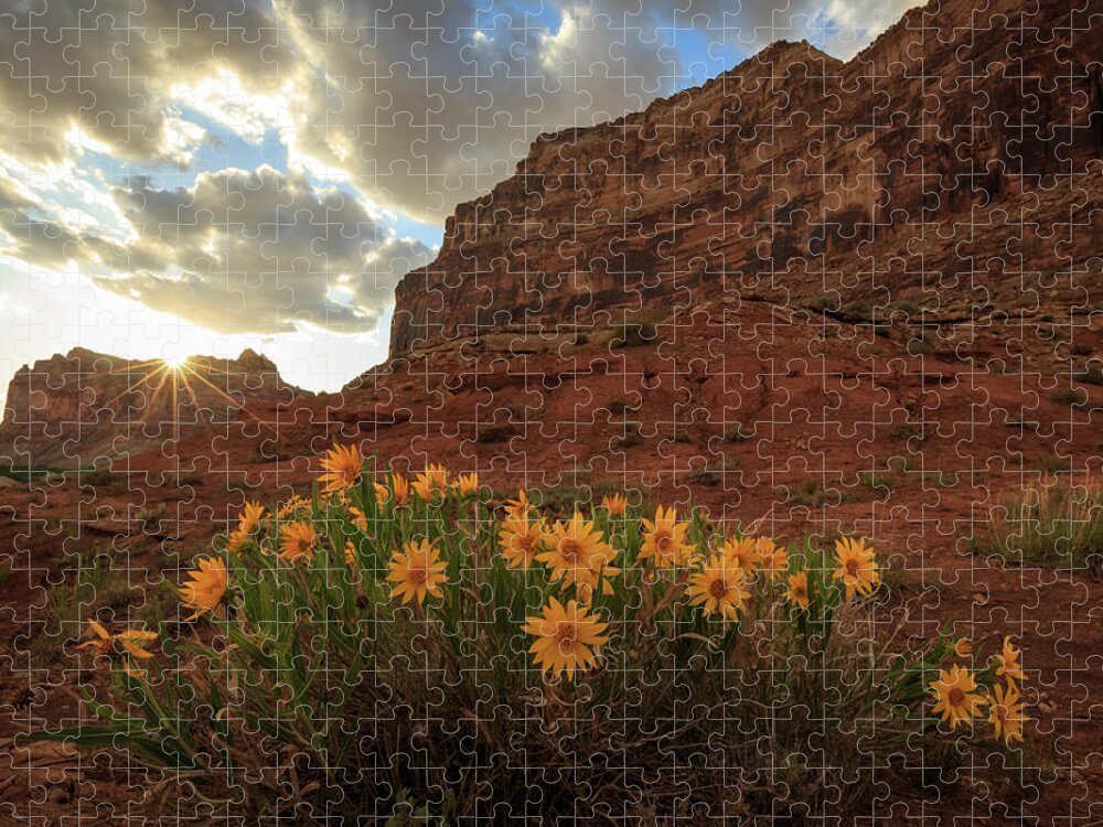 Wildflowers Jigsaw Puzzle featuring the photograph Wildflowers in the Swell. by Wasatch Light