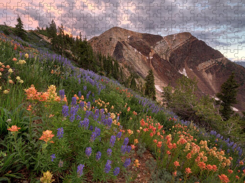 Landscape Jigsaw Puzzle featuring the photograph Wildflowers with Twin Peaks at Sunset by Brett Pelletier