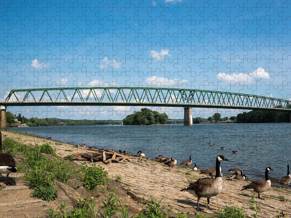 Ohio River Jigsaw Puzzle featuring the photograph Wildlife and Williamstown Bridge by Holden The Moment