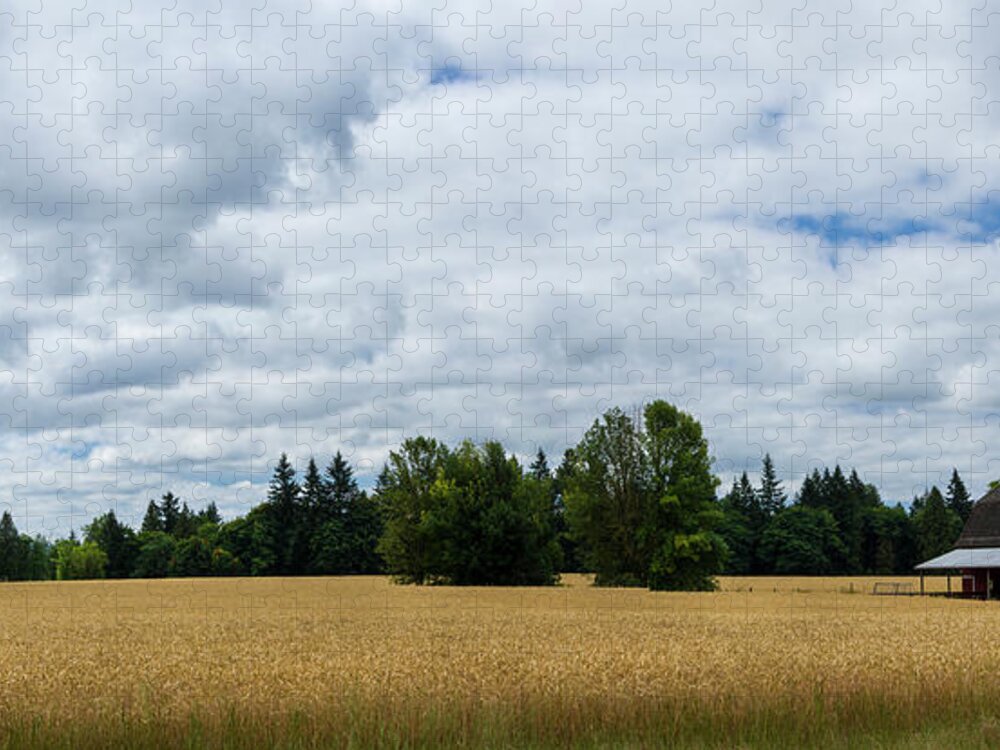 Wheat Jigsaw Puzzle featuring the photograph Willamette Wheat by Steven Clark