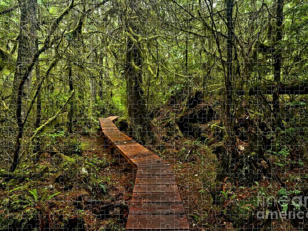 Willowbrae Jigsaw Puzzle featuring the photograph Willowbrae Rainforest Hiking Trail by Adam Jewell
