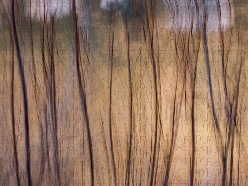 Abstract Jigsaw Puzzle featuring the photograph Willows In Winter by Deborah Hughes