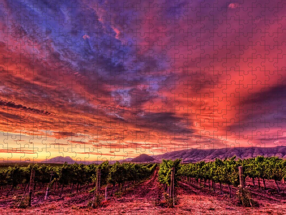 Edna Valley Jigsaw Puzzle featuring the photograph Wine Country Sunset by Beth Sargent