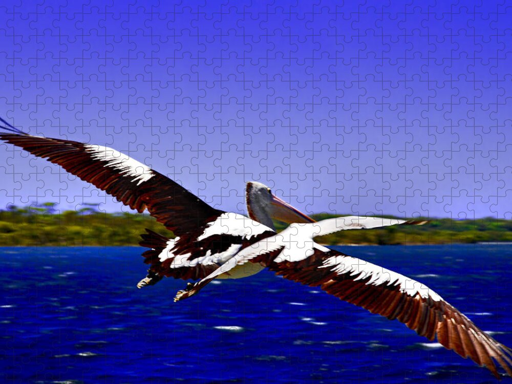 Pelican Jigsaw Puzzle featuring the photograph Wing Span Of Pelican And Seagull by Miroslava Jurcik